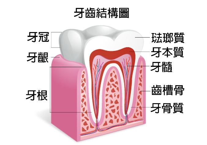 2020 09 25 terrible periodontal disease 01